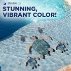 Green Sea Turtle Family Porcelain Pool Mosaic Tiles  Mosaics For Bottom Of Pool 
