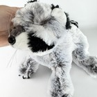 Webkinz Raccoon Soft Plush Stuffed Animal Gray Black Ganz Toy No Code Tag