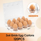 120 Pack Plastic Egg Cartons Cheap Bulk  12 Count Clear Egg Containers For Fresh