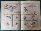 1788 - Bonne -  Map  West Indies  Virgin Islands  Lesser Antilles Supplement