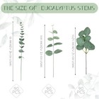 270 Pcs 3 Kinds Mixed Eucalyptus Leaves Stems Bulk Artificial Silver Dollar L   