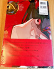 Lam 1st Art Book Ikazuchi Art Works Anime Illustration Collection Official Japan