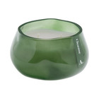 Allswell Cleanse  fresh Orange   Sage Leaf   Sea Salt  Scented 1-wick Organic Bl