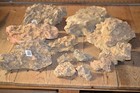 Dragon Stone  ohko Stone  For Planted Aquariums -hardscape- 32 Lbs - 12 Pieces