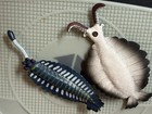 Anomalocaris   Opabinia Arthropod Fossil Model Replica Toy Teaching Paleontology