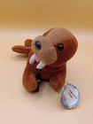 Vtg 1997 Coca-cola Beanie Plush Walrus Soda Bottle 7  Long     Collectable     Tags