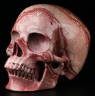 Huge 5 0  Picture Jasper Carved Skull  Super Realistic  Crystal Healing