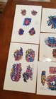 Bobe Tattoo Flash 11 Sheets 1995 Laminated Tiger Faces Grafitti Abc Art Colorful