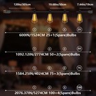 50ft - 100ft Led Outdoor String Lights Dimmable Waterproof St38 Led Patio Lights