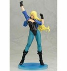Kotobukiya Dc Comics Bishoujo Black Canary Limited Edition 1 7 Scale Pvc Figure