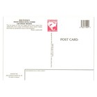 Bob Stupak Vegas World Vintage Postcard Nevada Las Vegas Hotel Casino Vacation