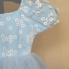 Toddler Girls Ballet Dance Leotard Tutu Dress Blue Spring Floral