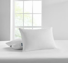 Sertapedic No-go-flat Bed Pillow  Standard queen  2 Pack