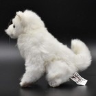 Bh6830 Hansa Arctic Wolf Pup 17