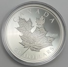 2014 Canada  50 5 Oz Silver Maple Leaves Coin Proof Rcm W  Coa   Red Box