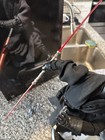 Sideshow Collectibles Darth Maul Premium Format Figure New Mint Tested