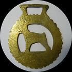 Miniature Pinscher   Horse Brass   n1103 