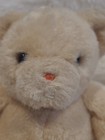 Vintage Eden Toys Teddy Bear 8 plush Stuffed Animal Wind Up Musical