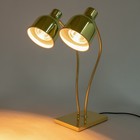 Food Insulation Lamp 500w 2-head Warming Light Portable Electric Heating Lamp 