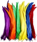 Rooster Tail Feathers Bulk Mixed Rainbow Colors For Diy Crafts 12-14 In 50