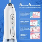 Waterpik Cordless Oral Irrigator Dental Flosser Teeth Cleaner 5 Jet Tips