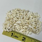 Lot Of 250 Assorted Small Coyote Teeth Real Cleaned Taxidermy Weird Goth  4092