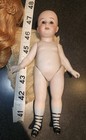 Hard To Find 7  Antique All Bisque Gebruder Kuhnlenz German Doll  44  C  1895 