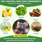 Mouse Rodent Repellent  32 Pack Peppermint Oil To Repel Mice And Rats    Works For