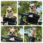 Dog Goggles For Small Breed Uv wind dust Protection Puppy Sunglasses With Adj   
