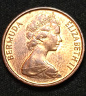Bermuda 1975  1 Cent Coin Wild Boar queen Elizabeth Ii crowned Head Right Collec