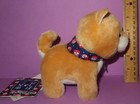 Amuse Amufun Mameshiba Brothers Dog Japan Stuffed Toreba Plush Toy Kawaii