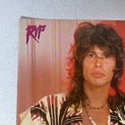 Steven Tyler Aerosmith - 80s Mini Poster Rip Magazine Clipping 8   x11   