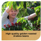  pack 2  Nescaf   Gold Espresso Blonde  Instant Coffee  3 5 Oz
