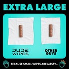 Dude Wipes Mint Chill Flushable Wipes - Extra-large Adult Wet Wipes 1 Pack 48 Ct