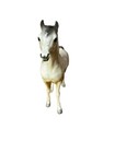Vintage 1989-1990 Breyer Rose Gray Proud Arabian Mare  805