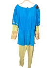 Legend Of Zelda Breath Of The Wild Link Adult Xl Costume Cosplay Complete 
