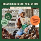 Mealworms Organic Non Gmo Dry Chicken Feed  5lb Bag