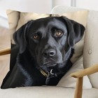 Black Labrador Retriever Throw Pillow Cover Dog Lover Pet Home Decor Gift 18x18