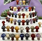 Wholesale Lot 50 Pcs 20mm Mixed Crystal Mushroom Healing Energy
