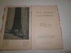 Old Original 32 Page  big Trees Of California    The So  Pacific Railroad 1914