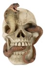 Ebros Cranium Skeleton Cobra Snake Habitat Skull Statue Figurine 4 25 h
