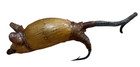 Antique Vintage Mouse Wood Fishing Lure Bass Surface Bait Rare