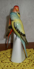 Hand-painted Hollohaza Porcelain Budgies parakeets  Parrots Figurine  Hungary