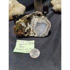 Hampton Butte Petrified Wood Specimen  8oz 