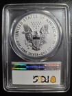 2019-w Enhanced Reverse Proof Silver Eagle Pcgs Pr70 First Strike Us Set 
