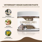  4 Pack  Veterinary Grade Sarcoid Herbal Paste For The Removal Of Sarcoidosis
