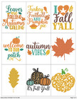 Fall Quotes  Collection Embroidery Machine Designs Collection Pes Usb Drive