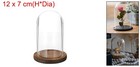 Glass Cloche Display Dome 4 7  X 2 7  Glass Dome Display Case Wood