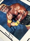 Hulk Hogan Autographed 8x10 Photo Signed     Wcw 1995 Wresting Champ
