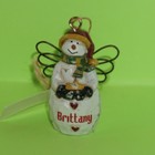 Ganz Christmas Ornament Snowman Angel Wings Woodland Snow Angel Choose Name Jb